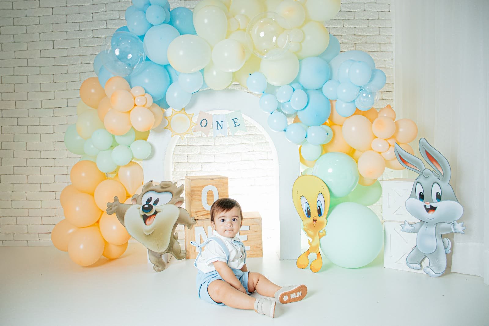 Aniversariante de 1 ano no cenário Baby Looney Tunes